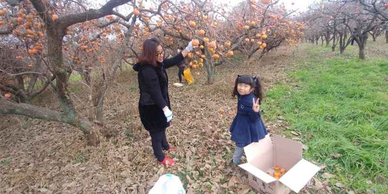 중앙청소년유해환경감시단_사진_20190104_6.jpg