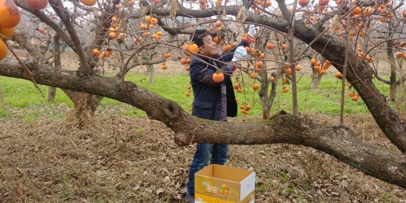 중앙청소년유해환경감시단_사진_20190104_7.jpg