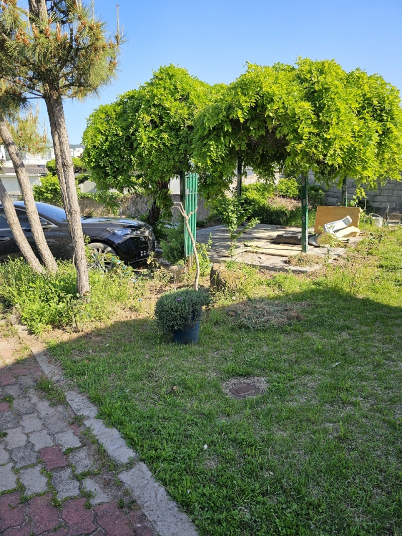 중앙청소년유해환경감시단_사진_20240504_31.jpg