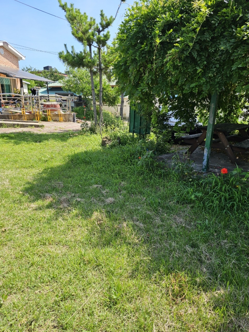 중앙청소년유해환경감시단_사진_20240720_5.jpg