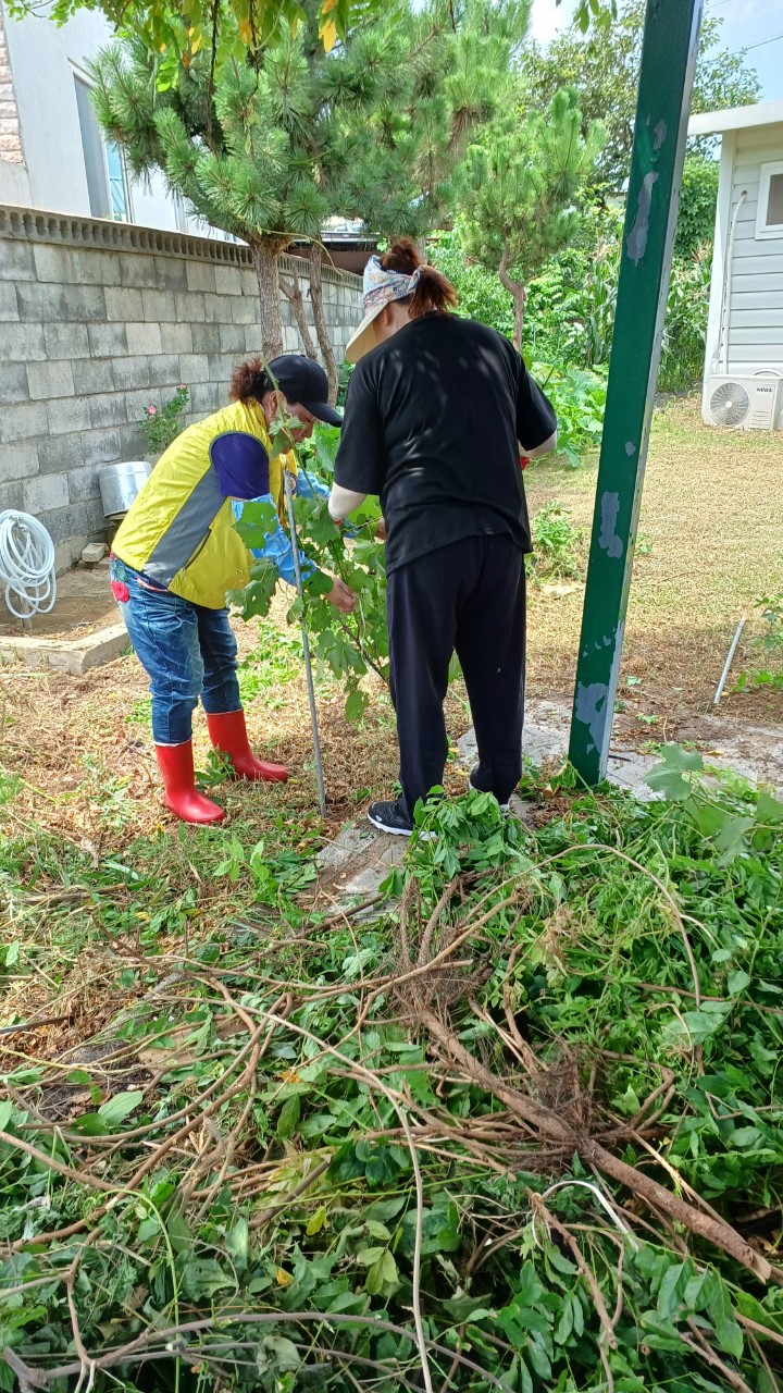 중앙청소년유해환경감시단_사진_20240720_22.jpg