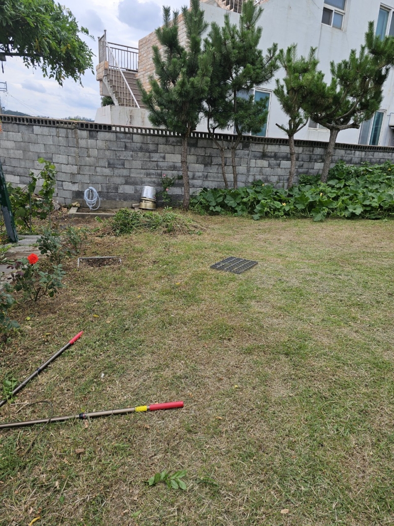 중앙청소년유해환경감시단_사진_20240720_29.jpg