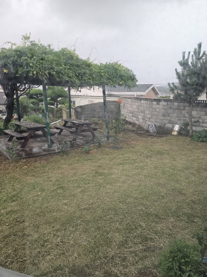 중앙청소년유해환경감시단_사진_20240720_30.jpg