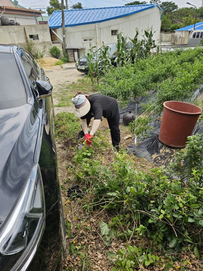 중앙청소년유해환경감시단_사진_20240720_13.jpg