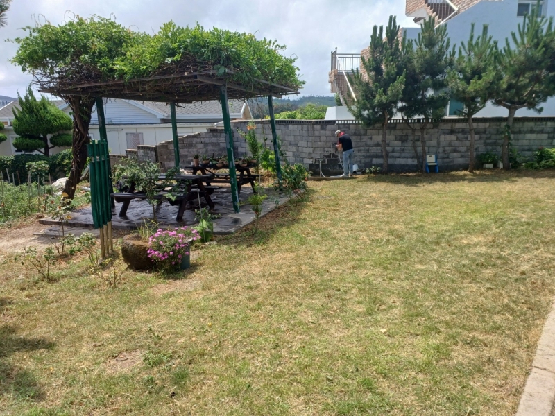 중앙청소년유해환경감시단_사진_20250714_47.jpg