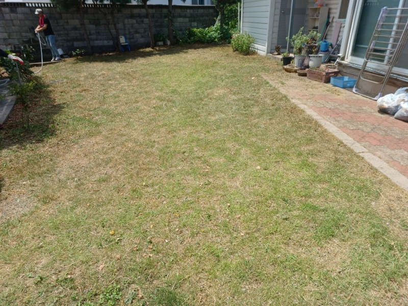 중앙청소년유해환경감시단_사진_20250714_48.jpg